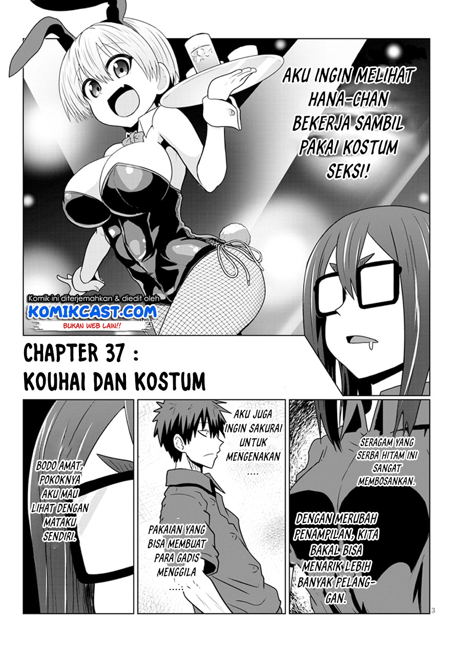Uzaki-chan wa Asobitai! bh[-