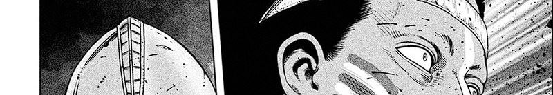 Vinland Saga