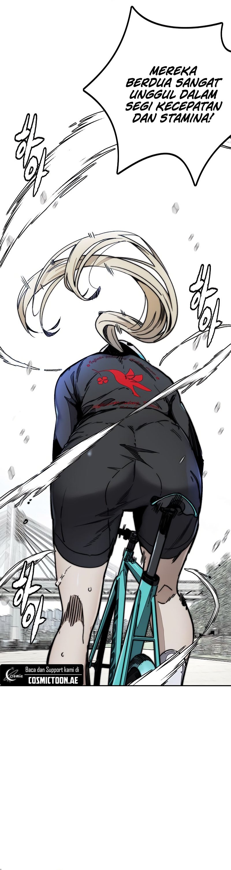 Wind Breaker