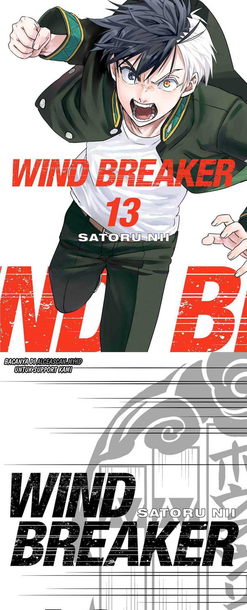 Wind Breaker (NII Satoru)