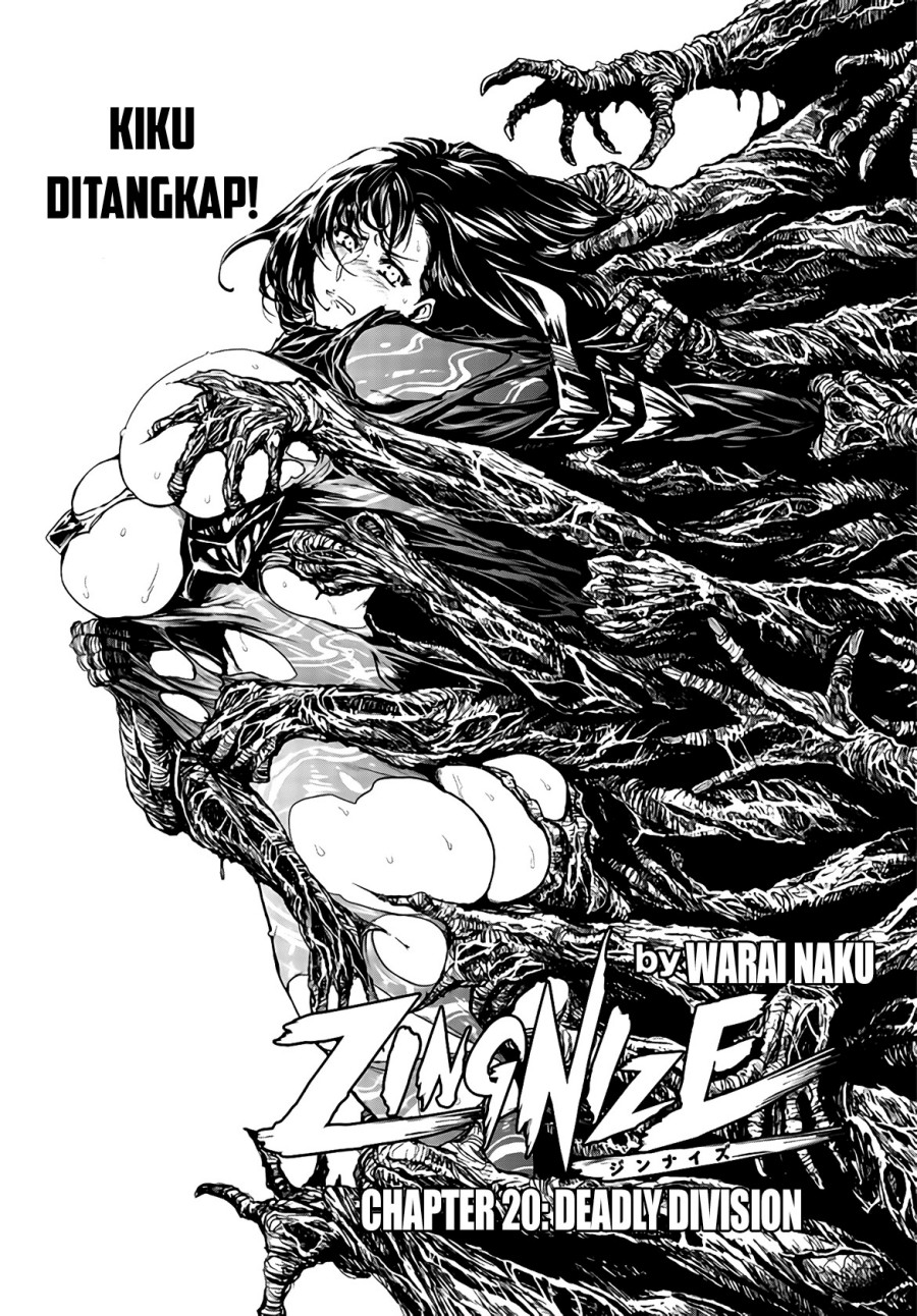 ZINGNIZE