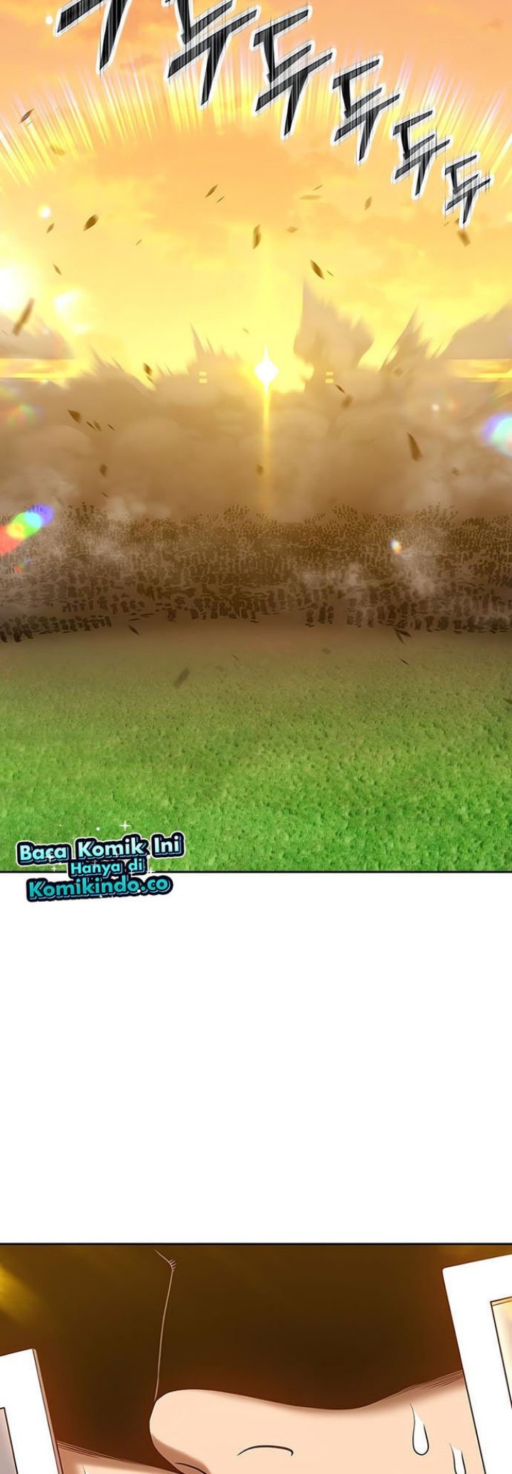 +99 Wooden Stick