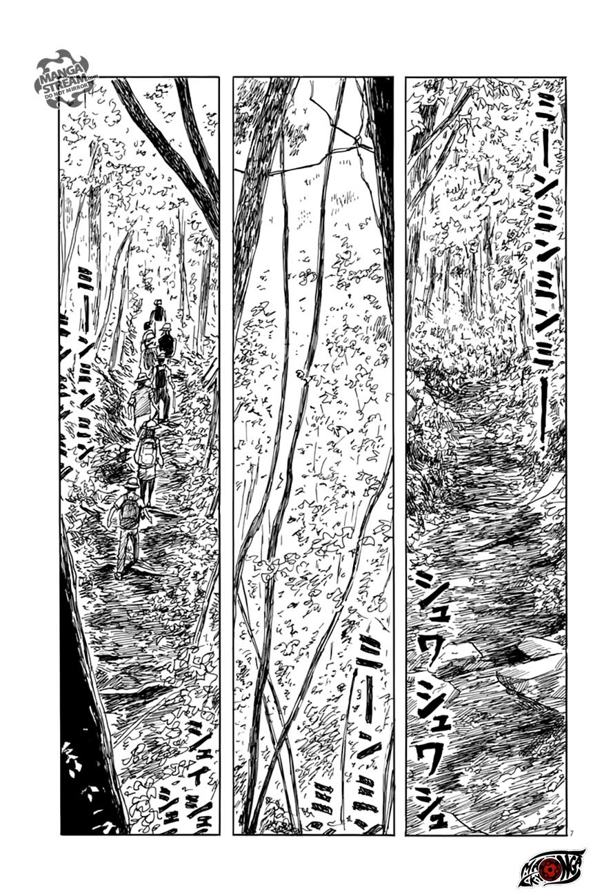 A Trail of Blood