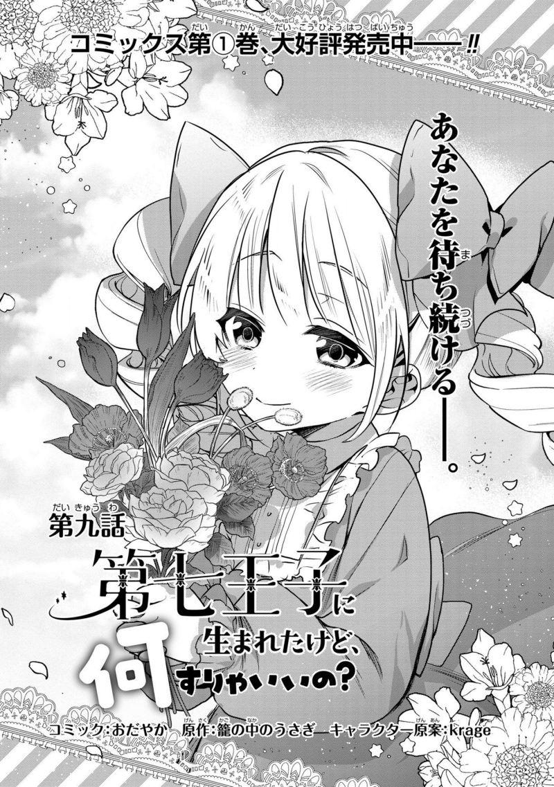 Dai Nana Ouji ni Umareta Kedo, Nani Surya Iino?
