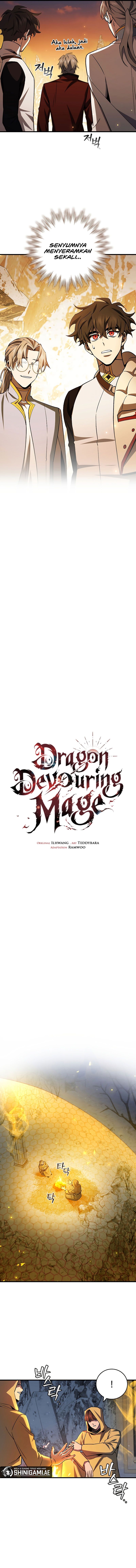 Dragon-Devouring Mage