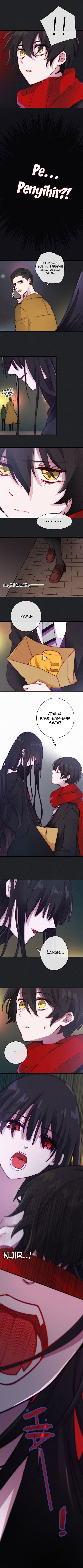 Falling in the Night with You