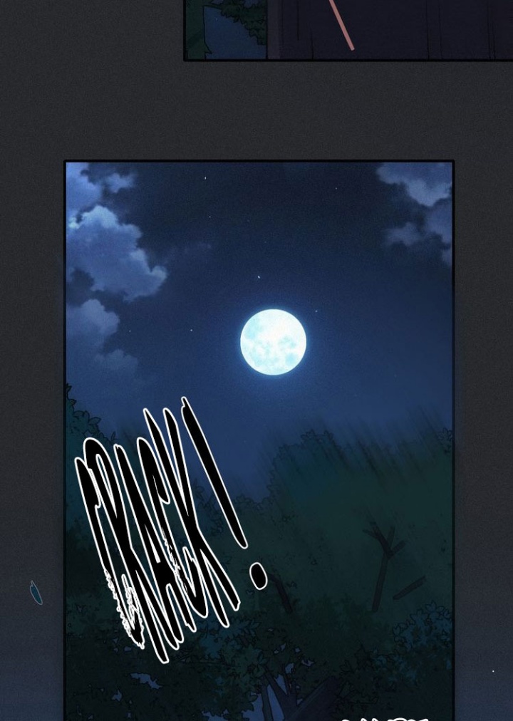 Falling in the Night with You
