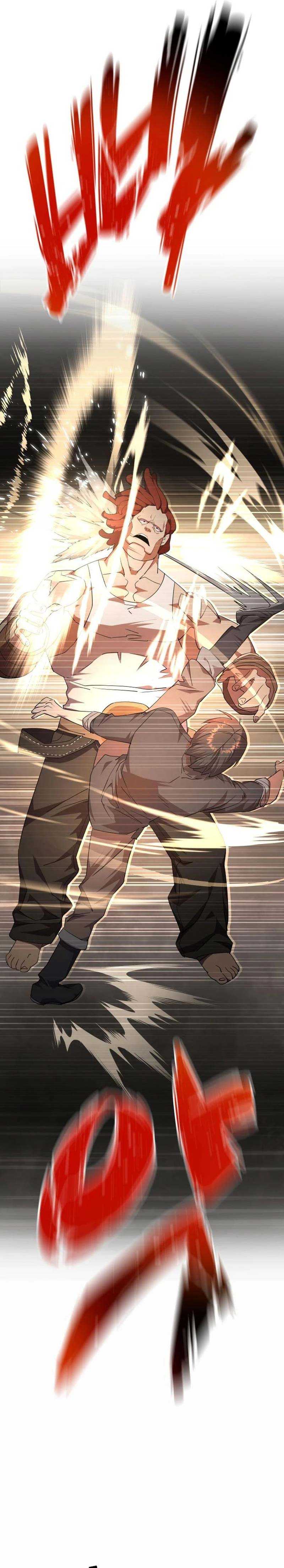 Genius Mage Who Uses Fists
