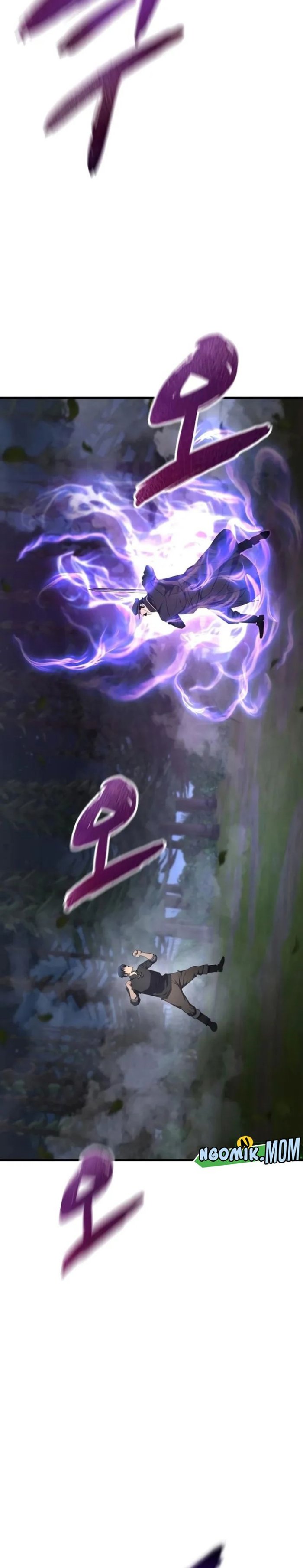 Genius Mage Who Uses Fists