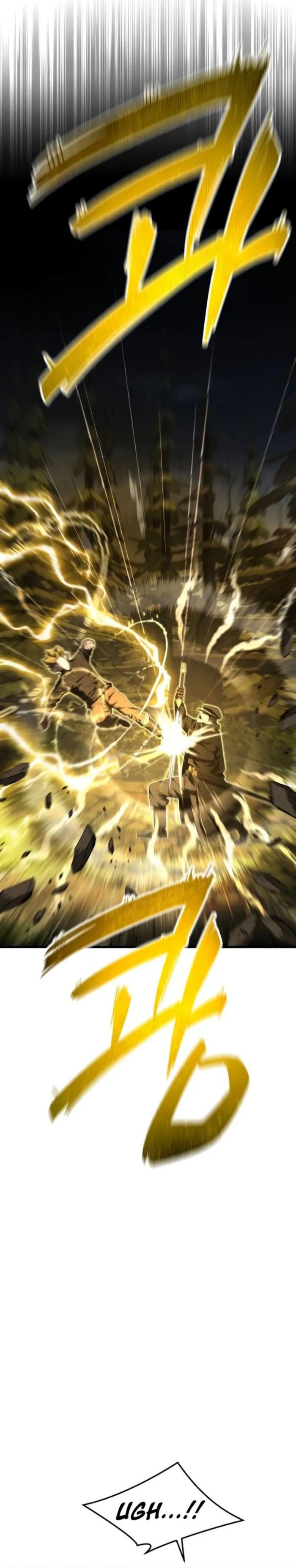 Genius Mage Who Uses Fists