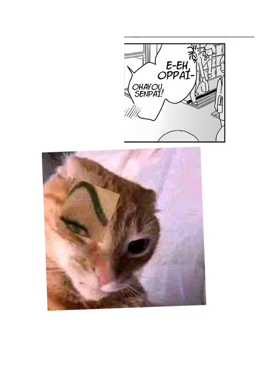 Gyaru Gamer Homeraretai
