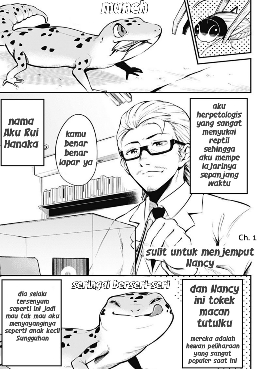 Hachuurui-chan wa Natsukanai