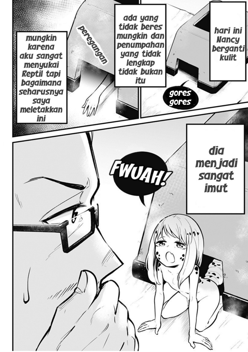 Hachuurui-chan wa Natsukanai