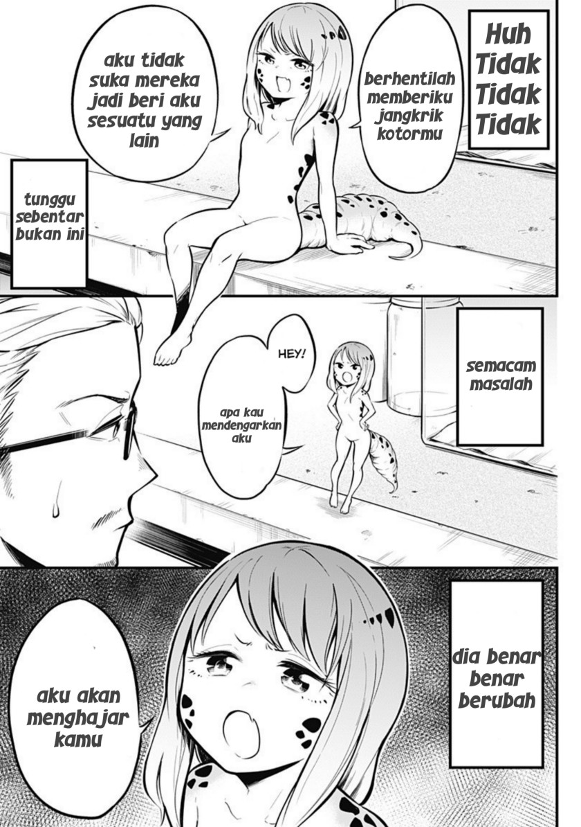Hachuurui-chan wa Natsukanai