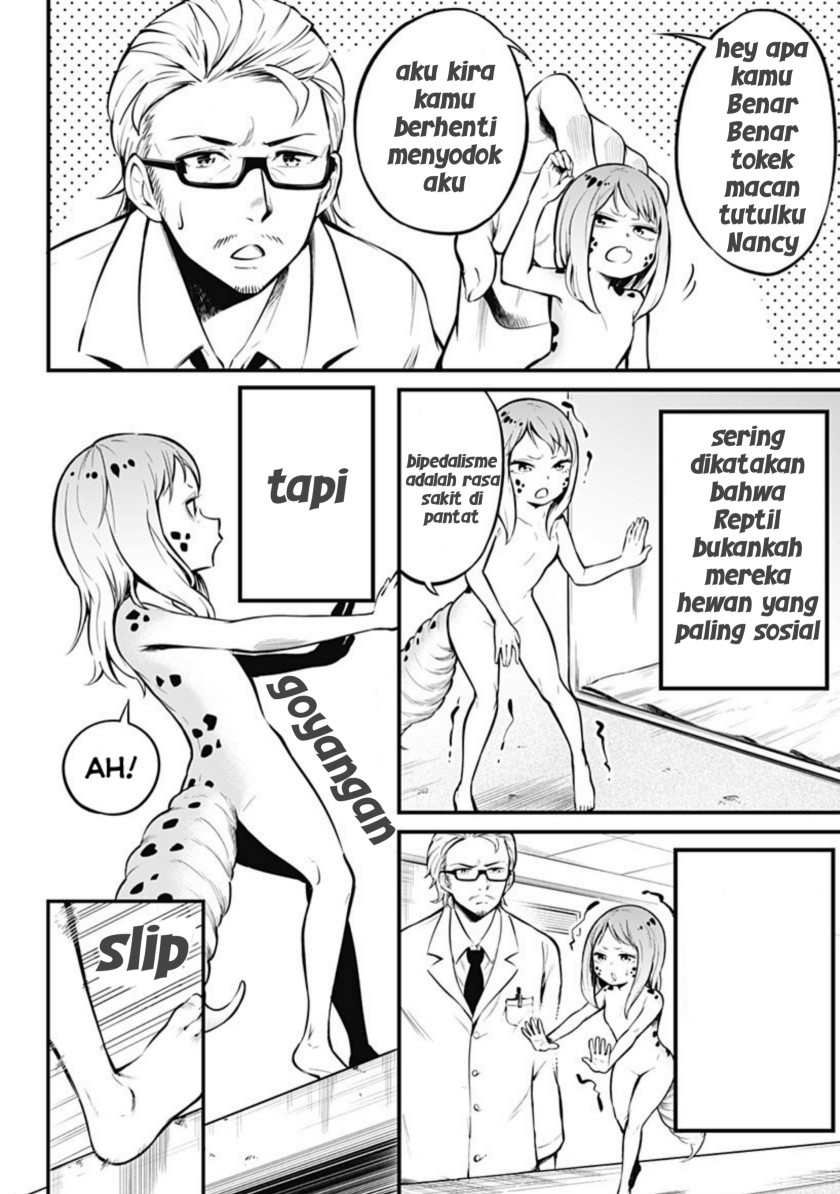 Hachuurui-chan wa Natsukanai