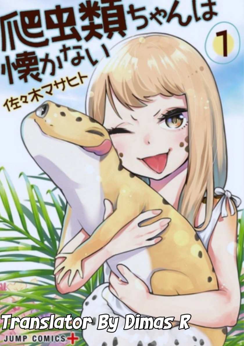 Hachuurui-chan wa Natsukanai
