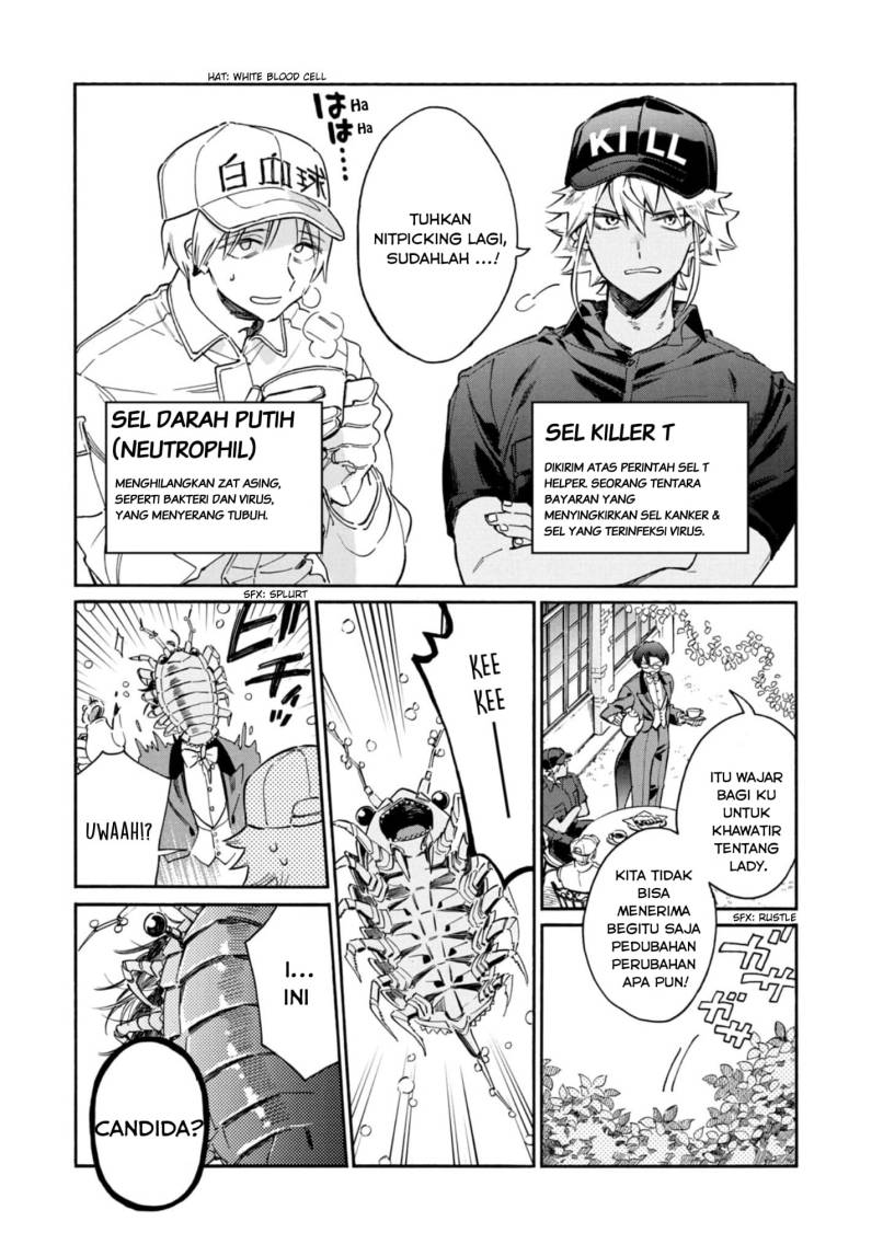 Hataraku Saibou LADY