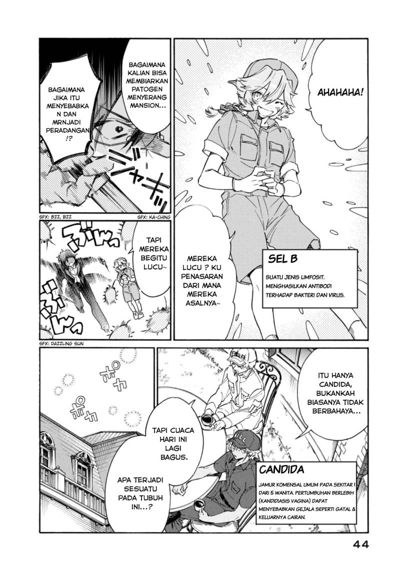 Hataraku Saibou LADY