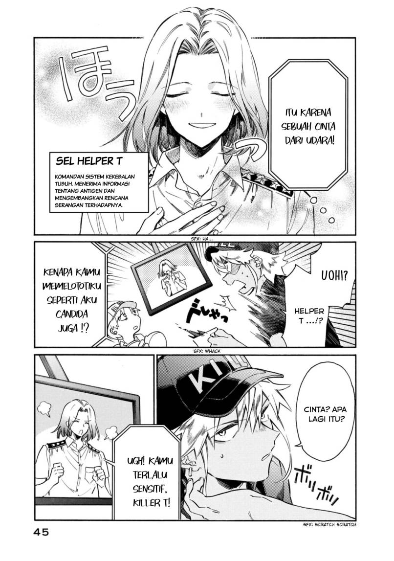 Hataraku Saibou LADY