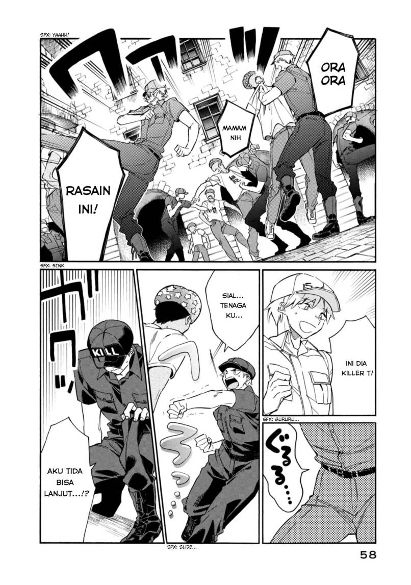 Hataraku Saibou LADY