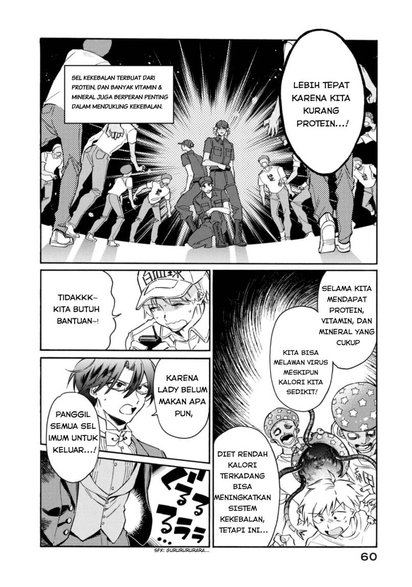 Hataraku Saibou LADY