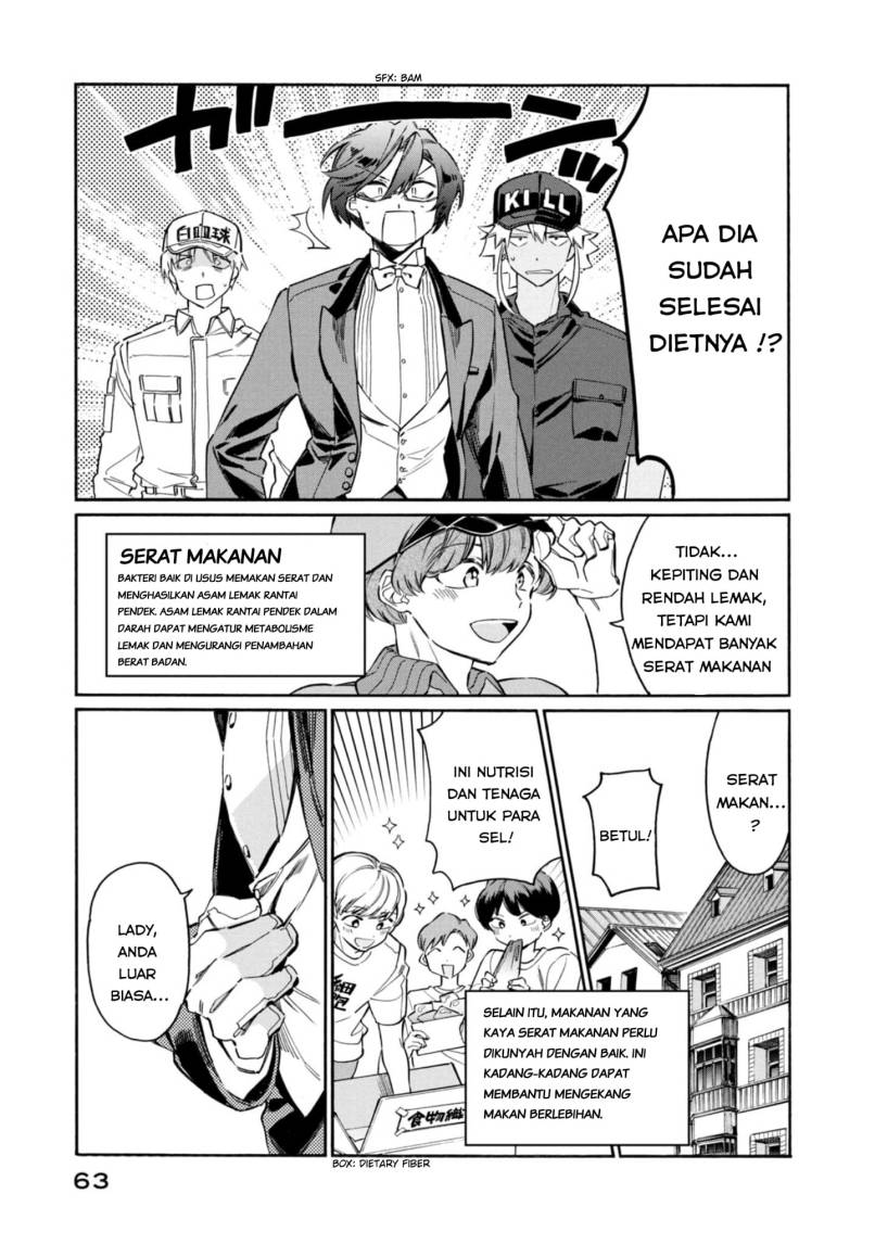 Hataraku Saibou LADY