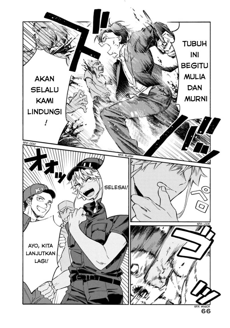 Hataraku Saibou LADY