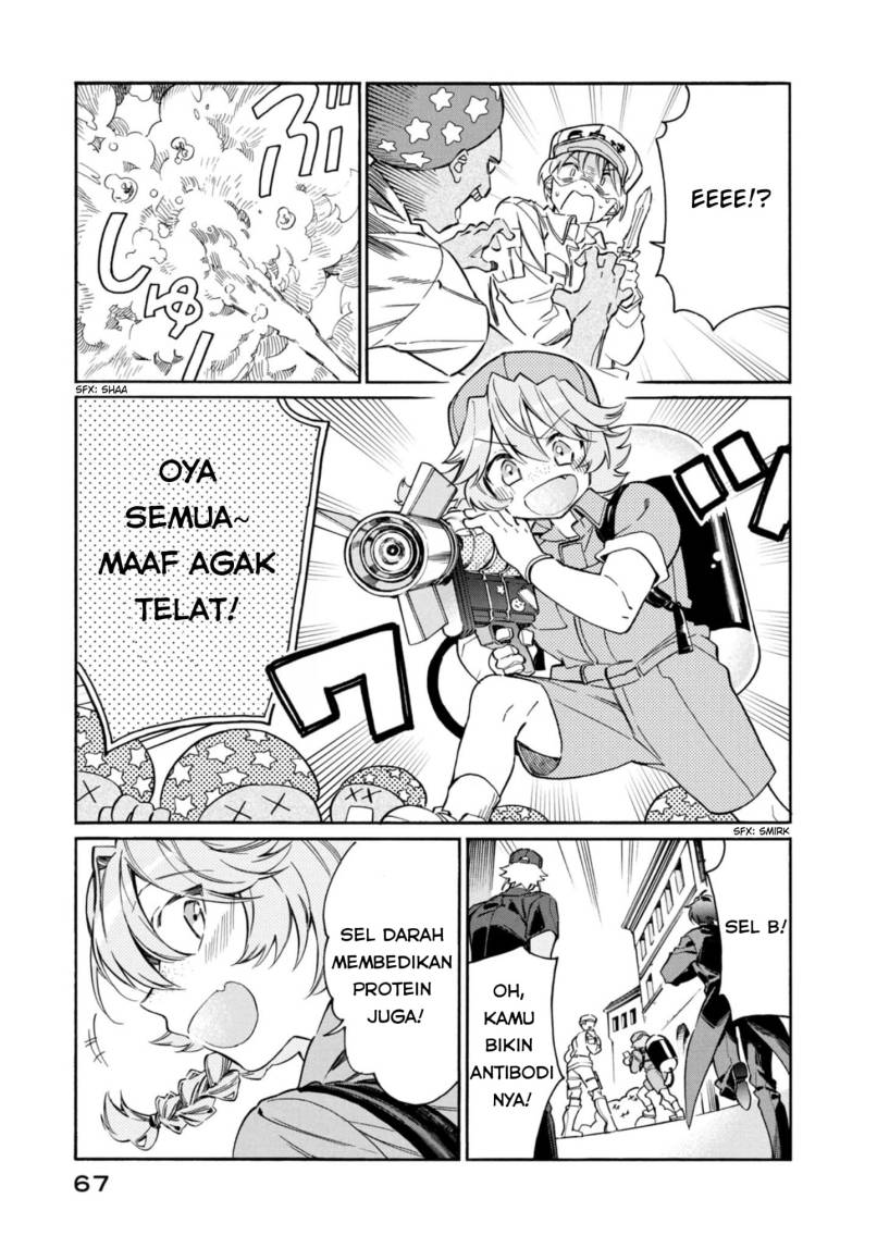 Hataraku Saibou LADY