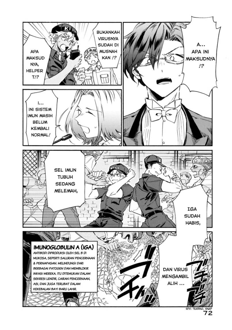 Hataraku Saibou LADY