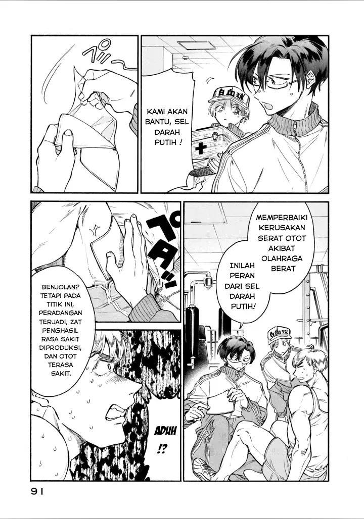 Hataraku Saibou LADY