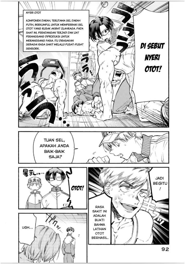 Hataraku Saibou LADY