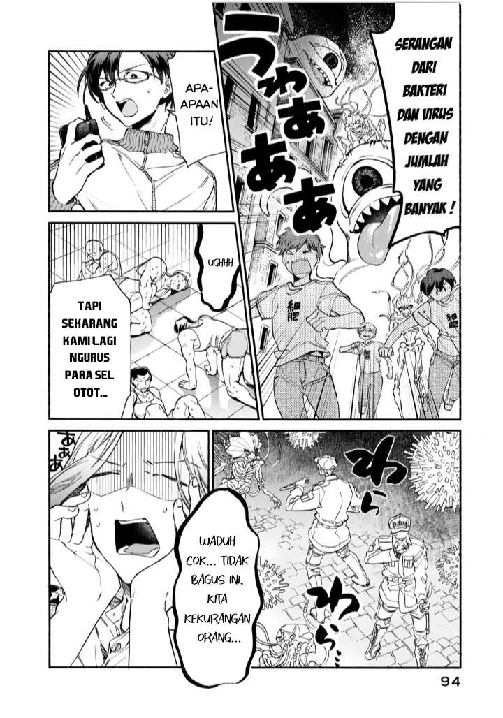 Hataraku Saibou LADY
