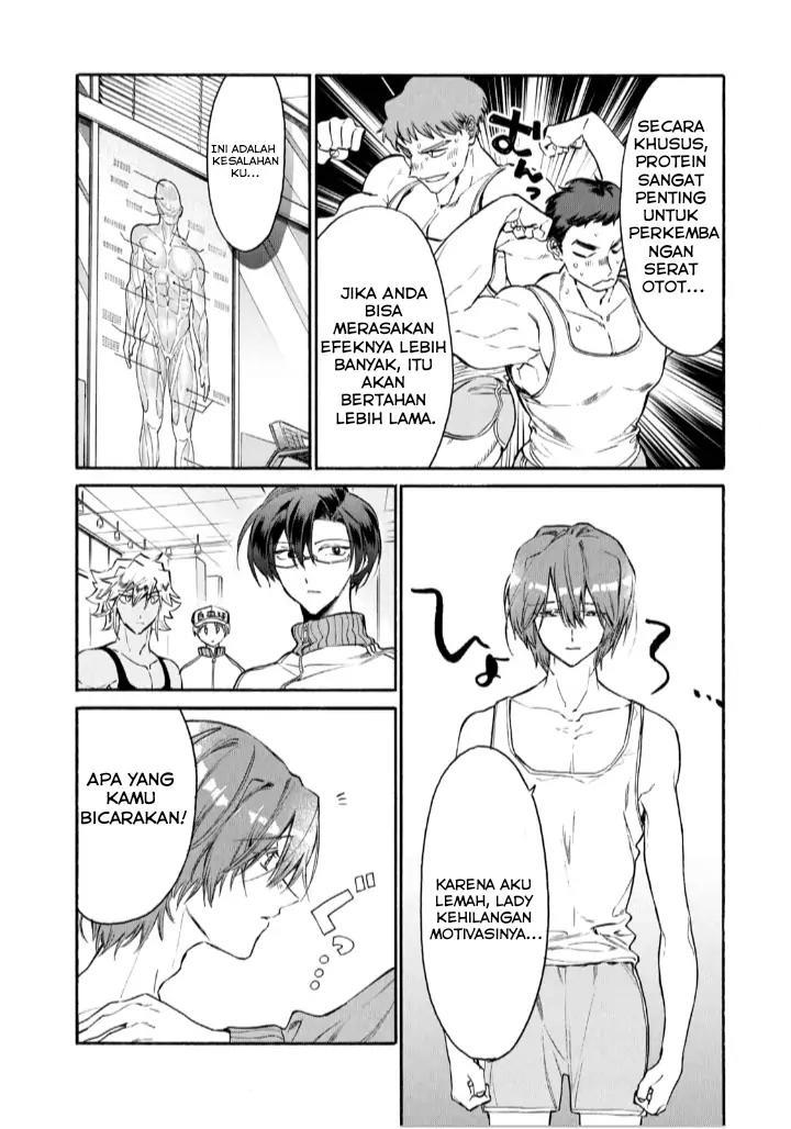 Hataraku Saibou LADY