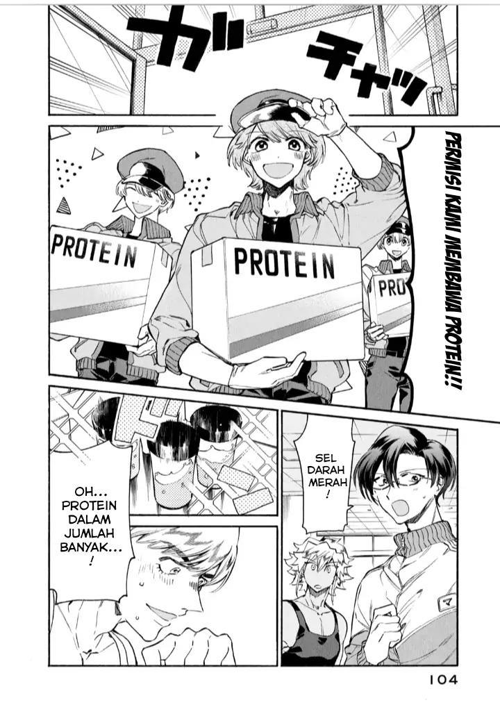 Hataraku Saibou LADY