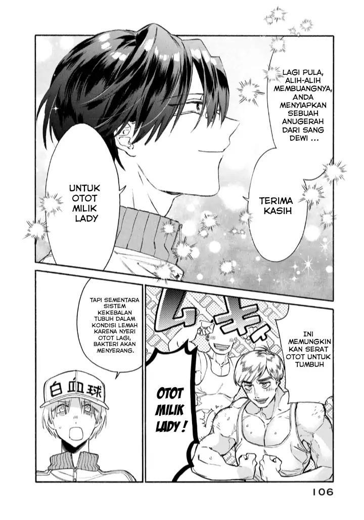 Hataraku Saibou LADY