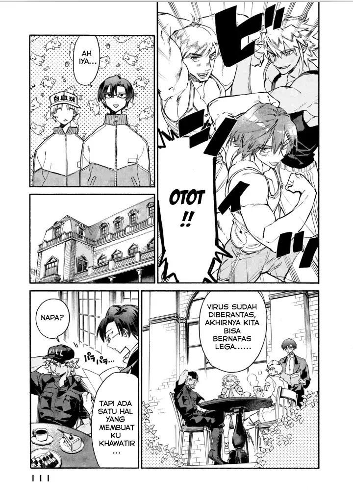Hataraku Saibou LADY