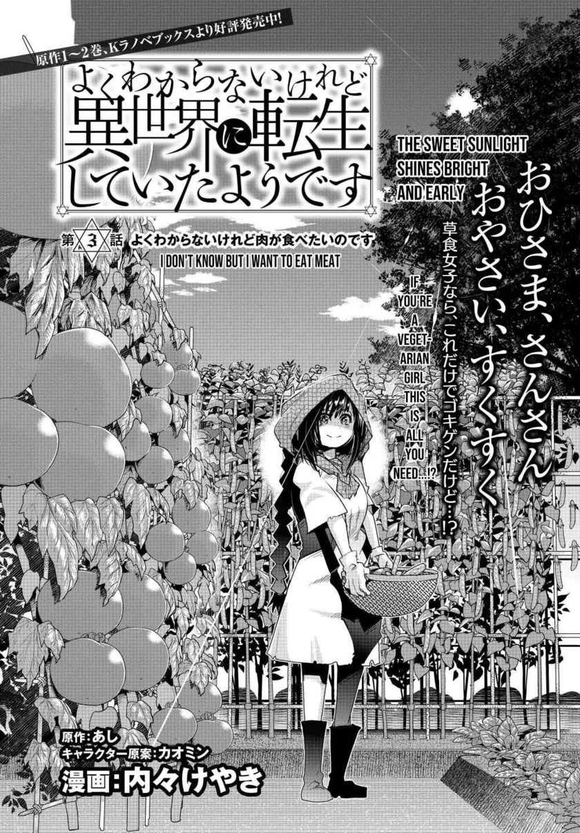 I Don’t Really Get It but It Looks Like I Was Reincarnated in Another World (Yoku Wakaranai keredo Isekai ni Tensei Shiteita You Desu)