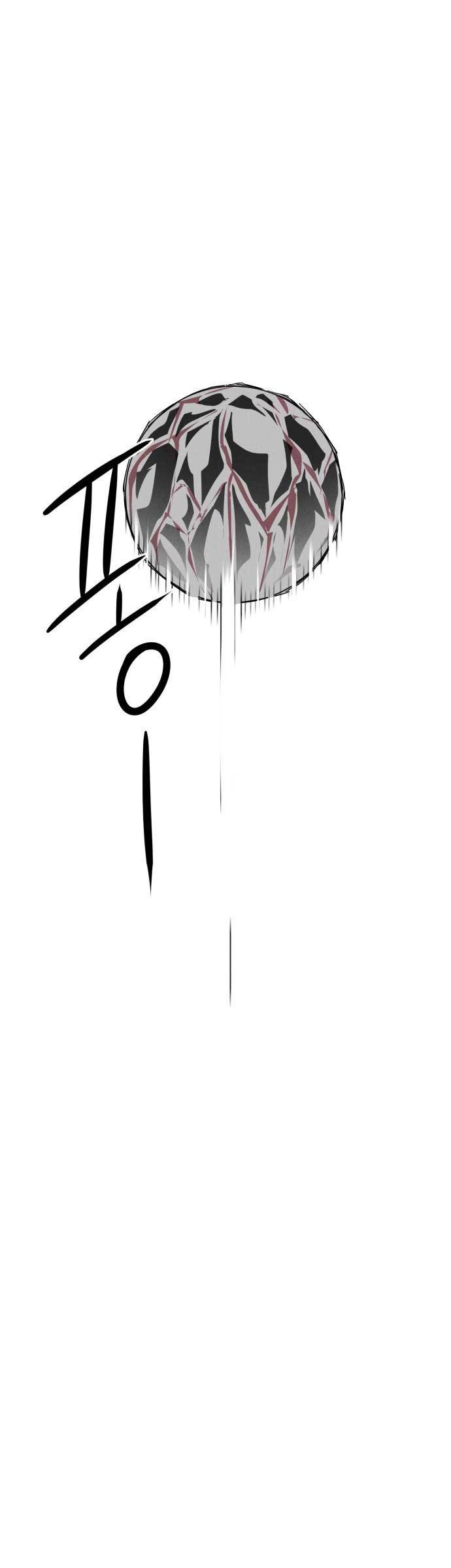 Insector
