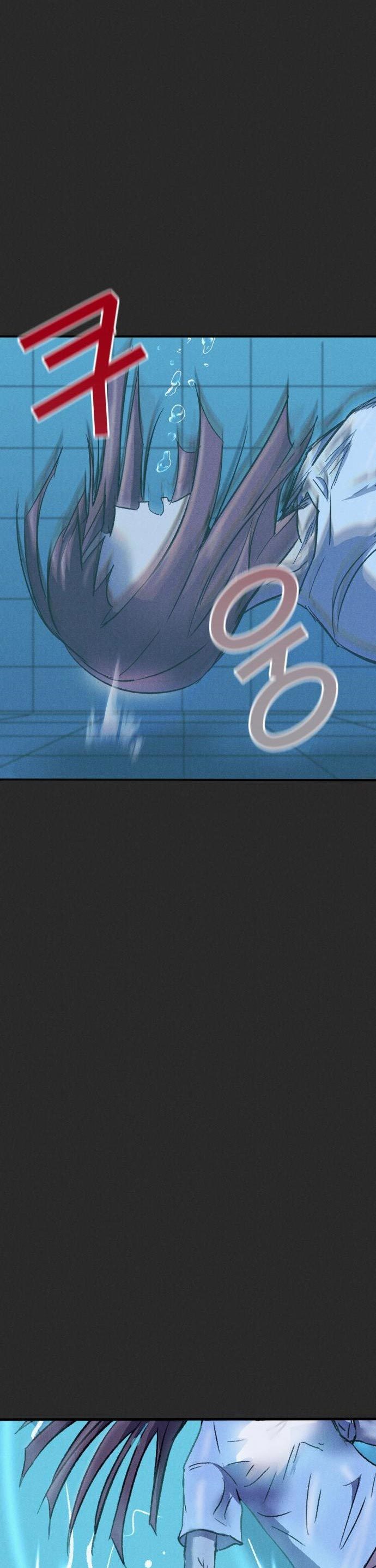 Insector