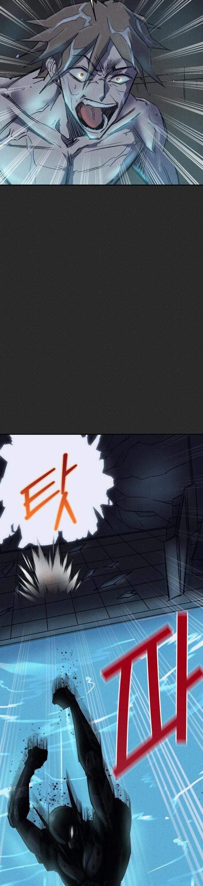Insector