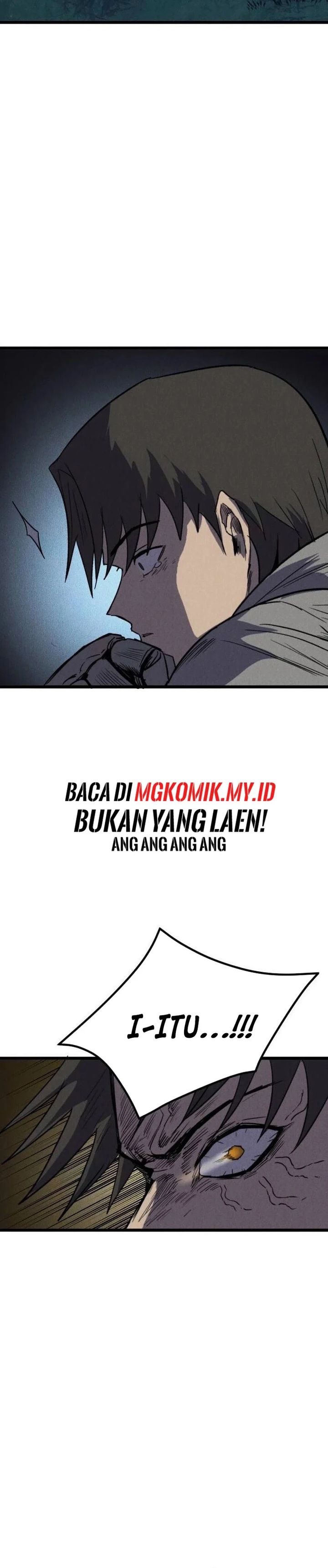 Insector