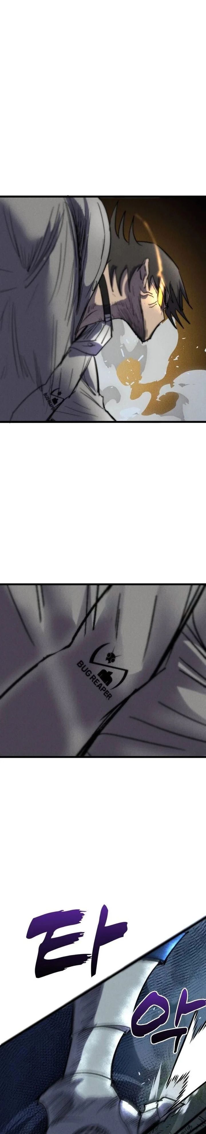 Insector