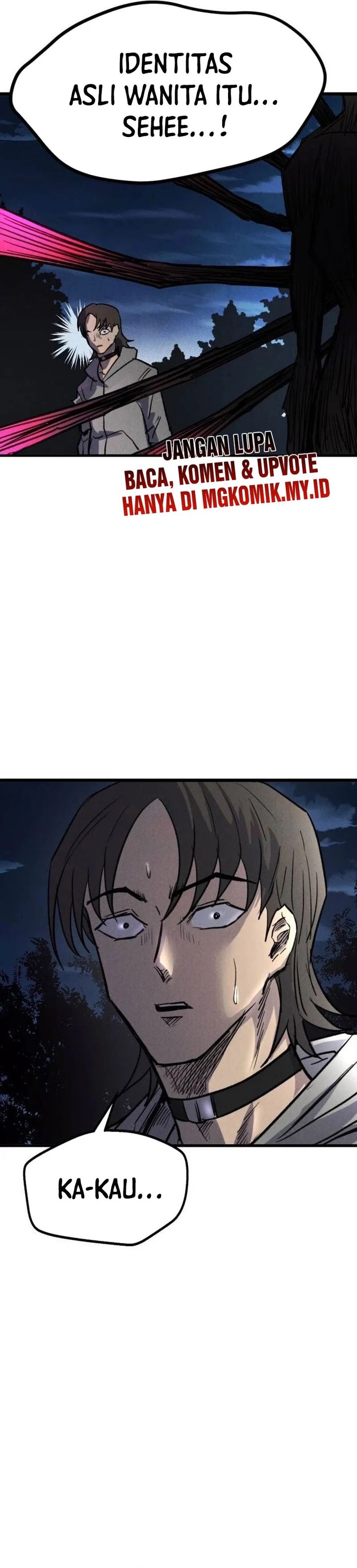 Insector