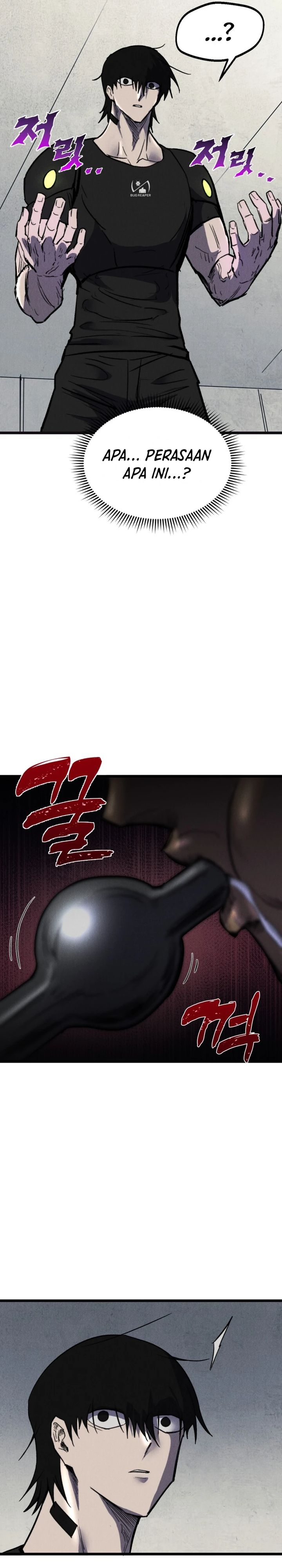 Insector