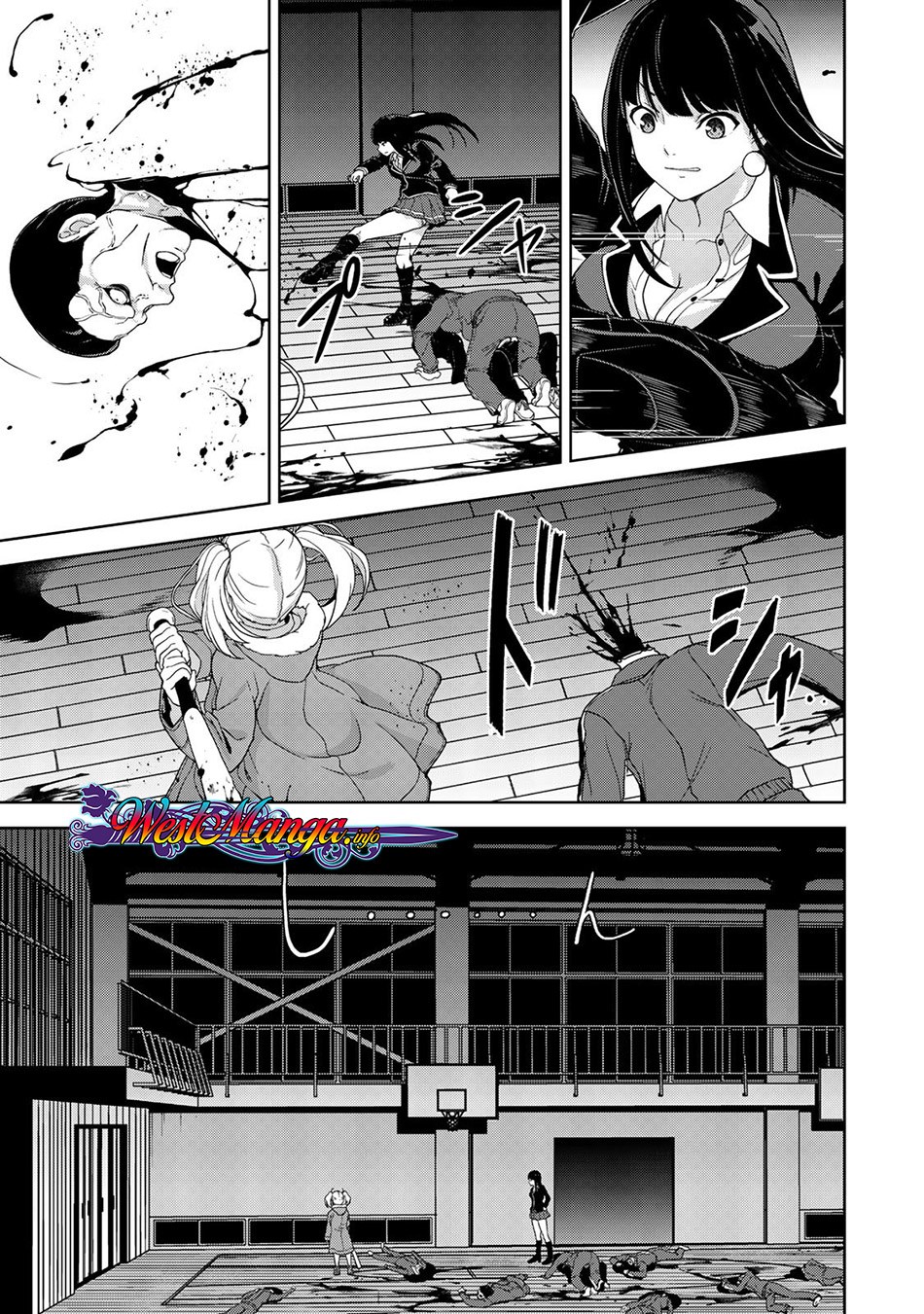 Kingdom of the Z