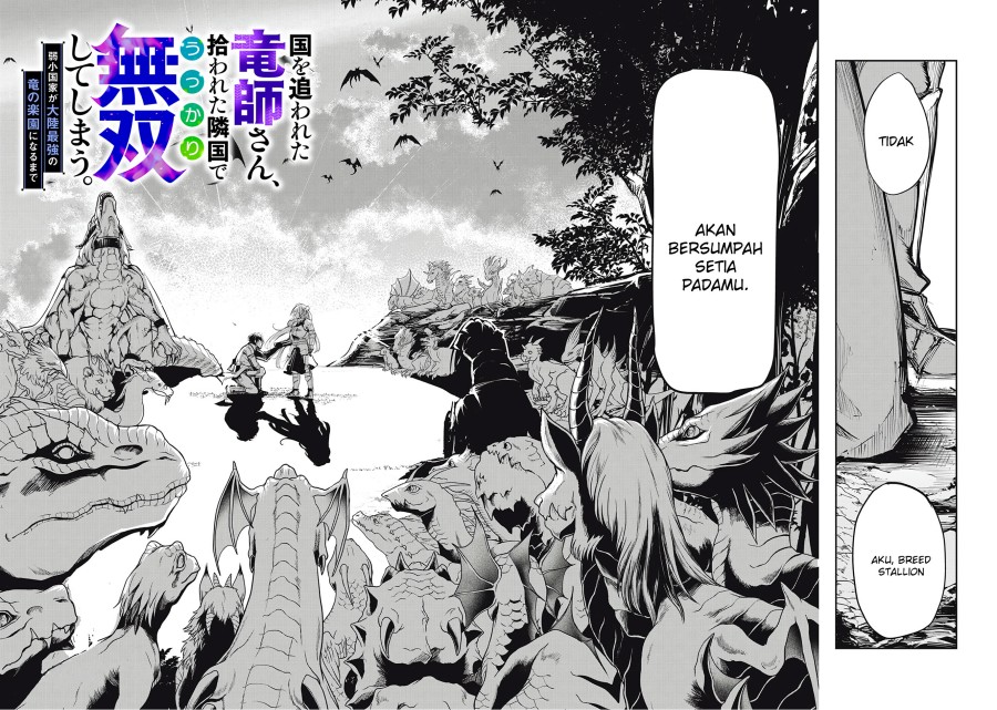 Kuni wo Owareta Ryuushi-san, Hirowareta Ringoku de Ukkari Musou shite Shimau.