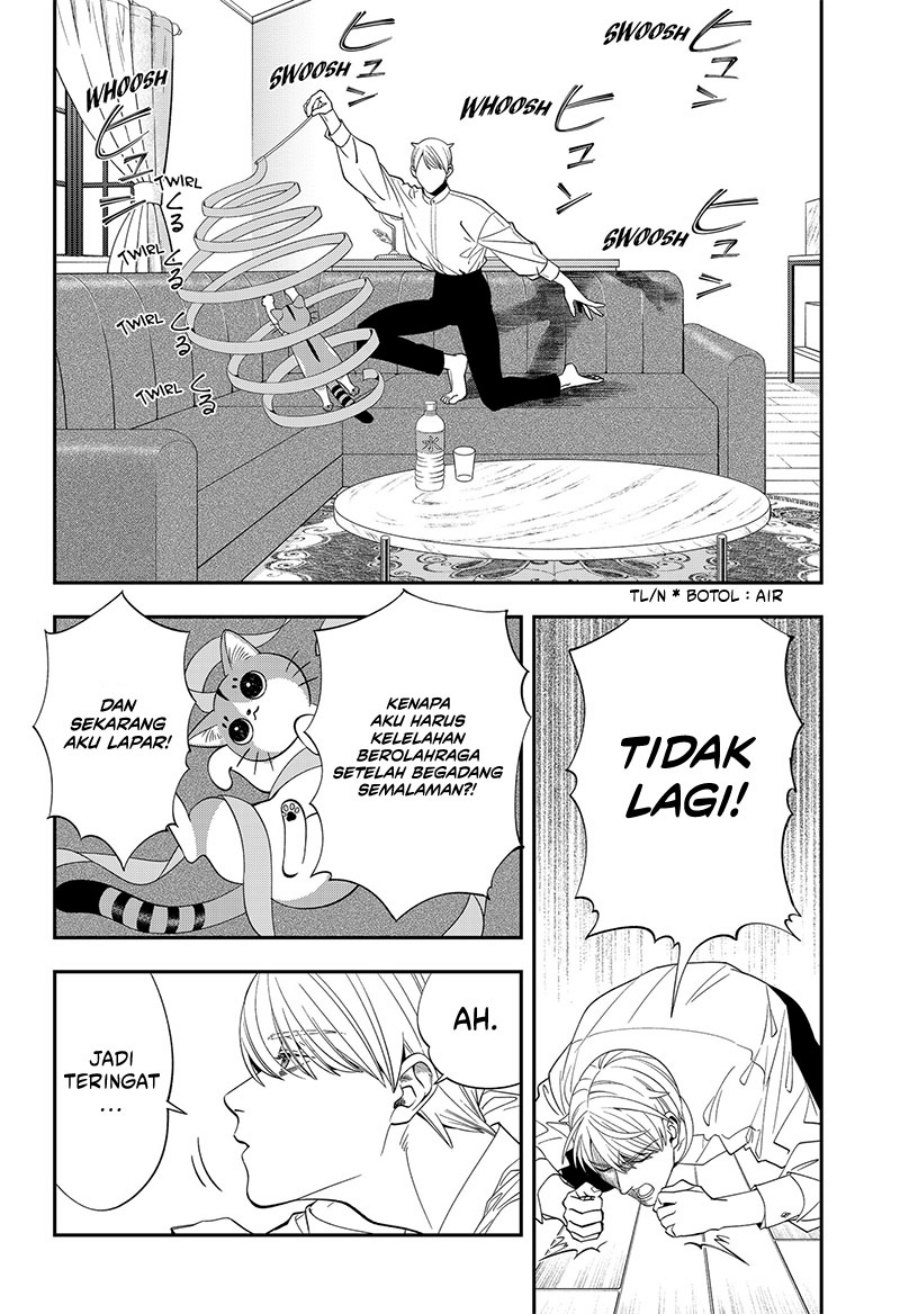 Miyaou Tarou ga Neko wo Kau Nante