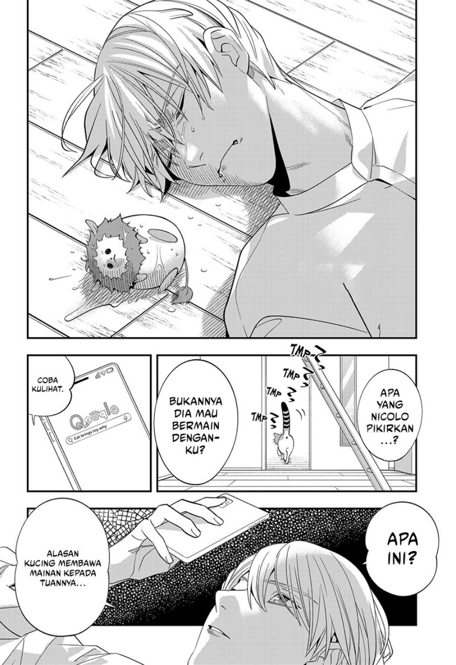 Miyaou Tarou ga Neko wo Kau Nante