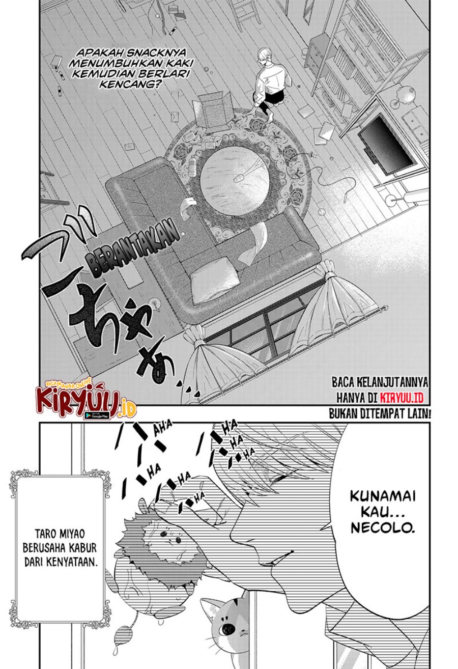Miyaou Tarou ga Neko wo Kau Nante