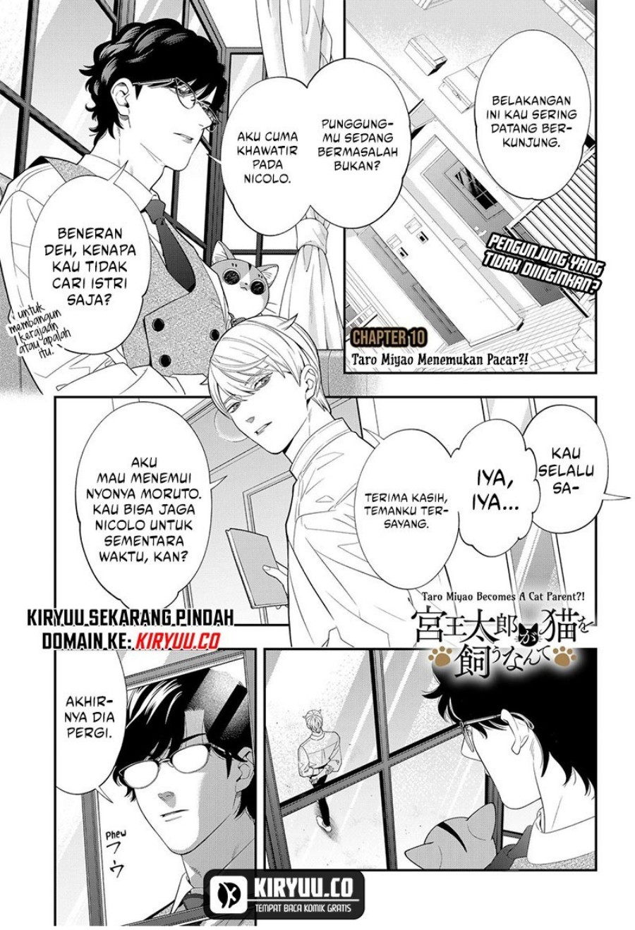 Miyaou Tarou ga Neko wo Kau Nante